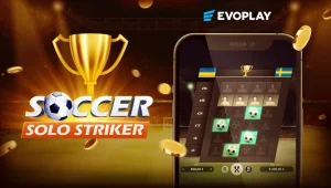  Soccer Solo Striker online game